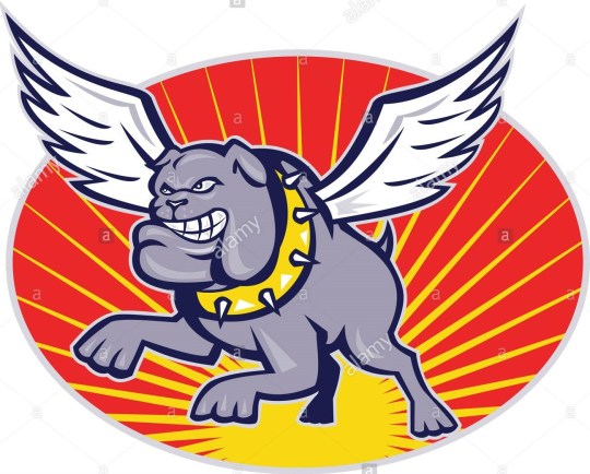 flyingbulldog