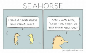 thumb_seahorse-and-i-was-like-i-saw-a-land-horse-62554107