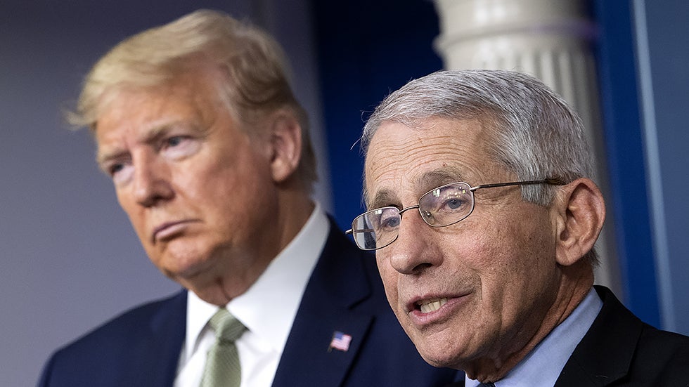 trumpfauci